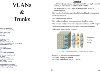 Summary Of Switch VLANs & Trunks PDF Guide