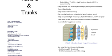 Summary Of Switch VLANs & Trunks PDF Guide