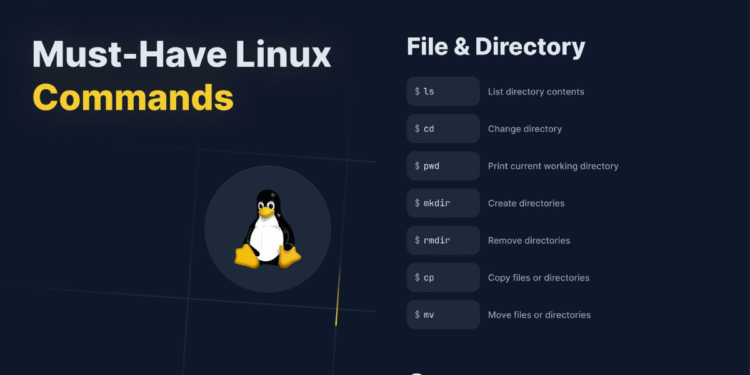 Must-Have Linux Commands: Your Essential Guide in PDF Format