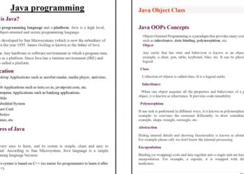 Java Programming PDF