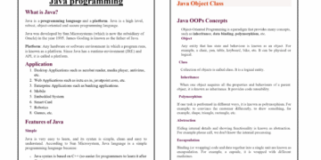 Java Programming PDF
