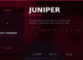 Juniper Show Commands